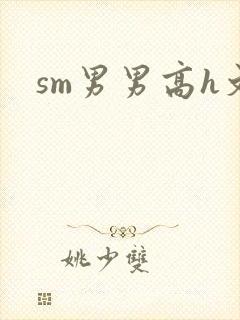 sm男男高h文封面