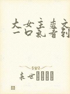 大女主爽文小说一口气看到结局封面