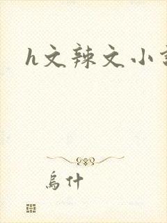 h文辣文小说网