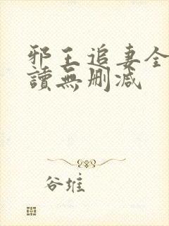 邪王追妻全文阅读无删减