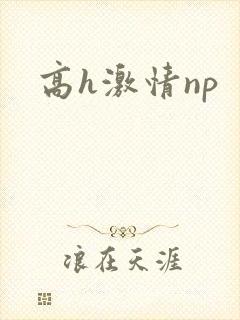高h激情np