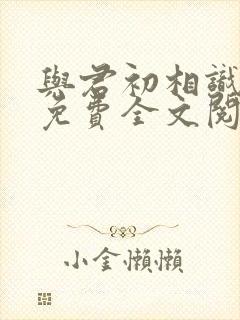 与君初相识小说免费全文阅读