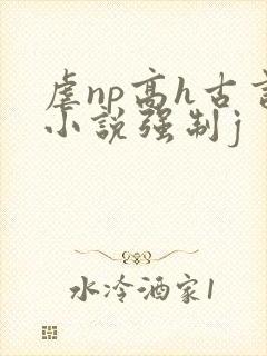 虐np高h古言小说强制j