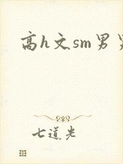 高h文sm男男封面