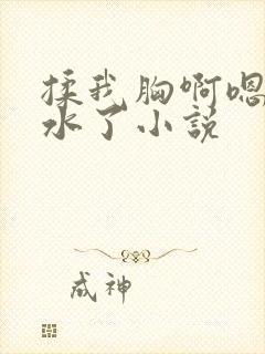 揉我胸啊嗯～出水了小说封面