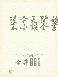 从今天开始做藩王小说全书封面