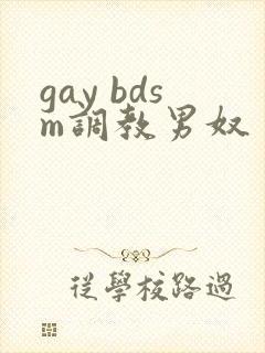 gay bdsm调教男奴