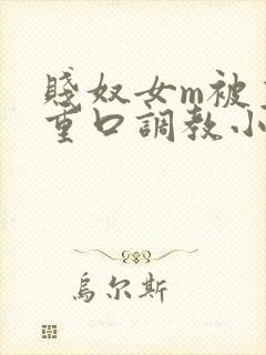 贱奴女m被主人重口调教小说封面