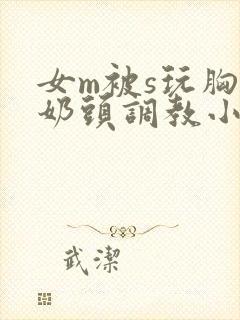 女m被s玩胸虐奶头调教小说