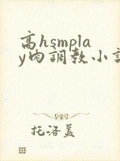 高hsmplay肉调教小说