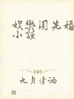 娱乐圈先婚后爱小说