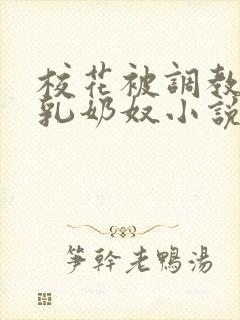 校花被调教成大乳奶奴小说