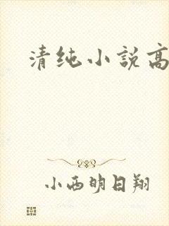 清纯小说高h