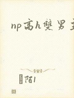 np高h双男主