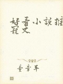 好看小说推荐甜宠文