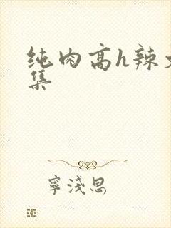 纯肉高h辣文合集