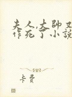 夫人,大帅又在作死了小说免费阅读