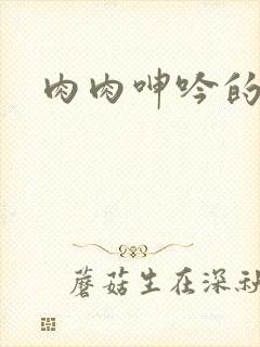 肉肉呻吟的文封面