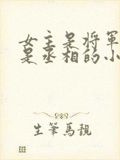 女主是将军男主是丞相的小说