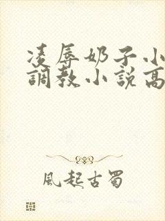 凌辱奶子小说上调教小说高h