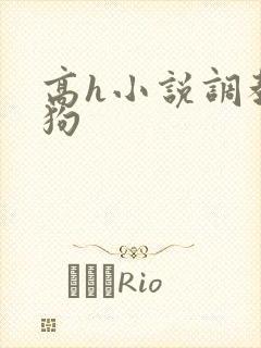 高h小说调教母狗封面