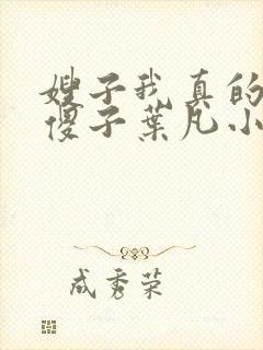 嫂子我真的不是傻子叶凡小说 原名封面