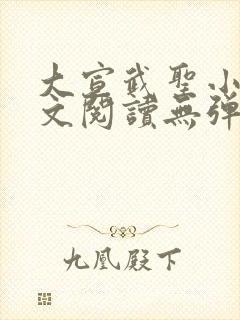 大宣武圣小说全文阅读无弹窗