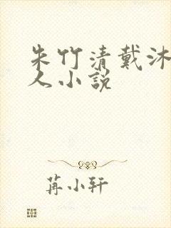 朱竹清戴沐白同人小说