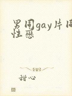 男同gay片同性恋