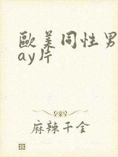 欧美同性男男gay片