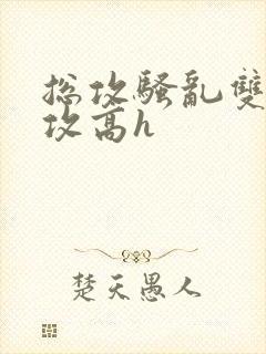 总攻骚乱双性互攻高h