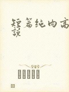短篇纯肉高h小说