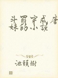 斗罗穿成唐三妹妹的小说封面