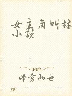 女主角叫林柔的小说