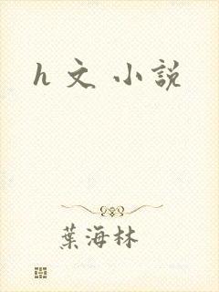 h 文 小说