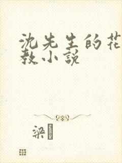 沈先生的花式调教小说