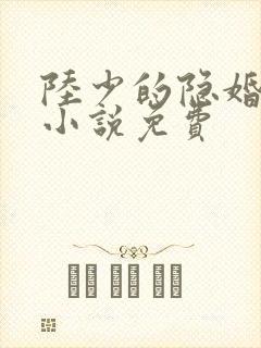 陆少的隐婚罪妻小说免费