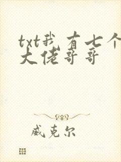 txt我有七个大佬哥哥