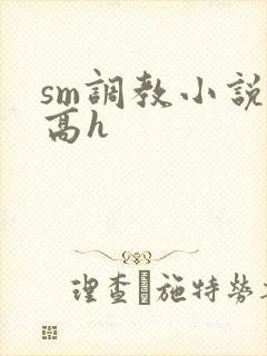 sm调教小说 高h