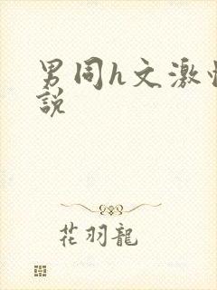 男同h文激情小说