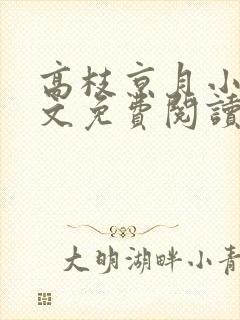 高枝京月小说全文免费阅读最新章节