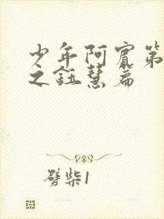 少年阿宾第二部之钰慧篇