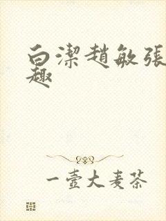 白洁赵敏张倩笔趣