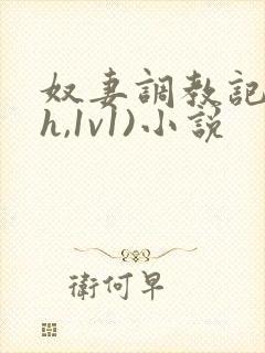 奴妻调教记(高h,1v1)小说