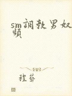 sm调教男奴视频