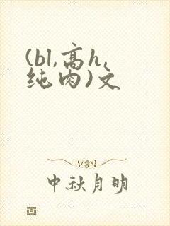 (bl,高h,纯肉)文