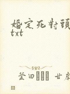 婚定死对头小说txt