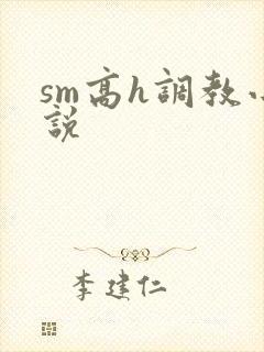 sm高h调教小说