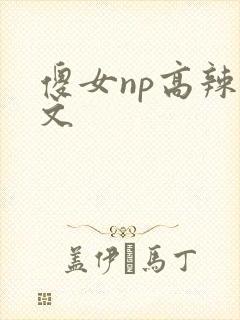 傻女np高辣h文
