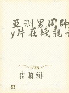 亚洲男同帅gay片在线观看封面